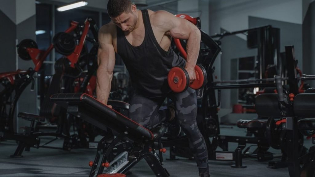 Chest and Back Workout